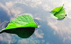 第七屆華南鋰電論壇優(yōu)秀學術論文征集正式啟動