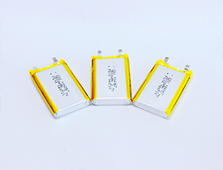 Li polymer